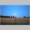 image00034_Foto__Horst_Kremers_Ven_Island__Sweden__Moon_before_grass.jpg